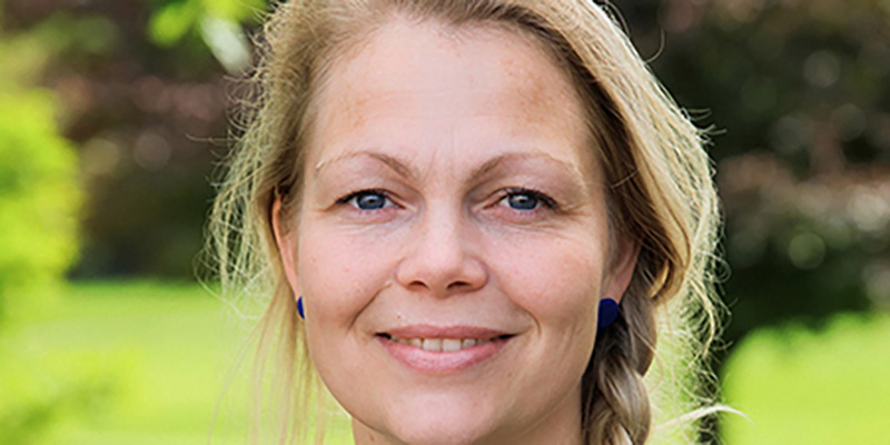 Mine forventninger til uddannelsen