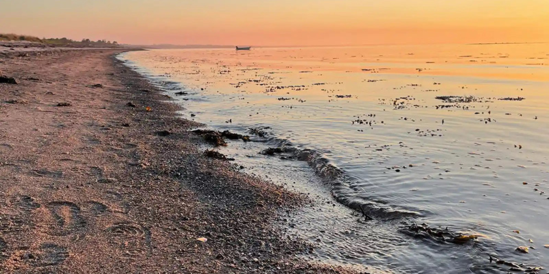 Kom godt tilbage efter sommerferien